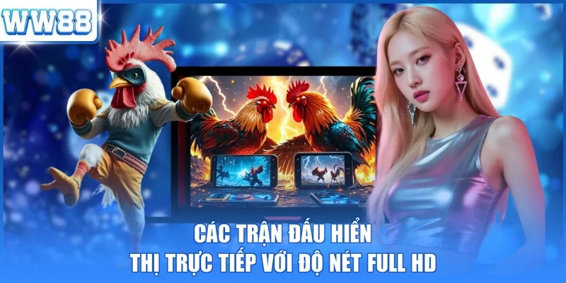 Các trận đấu hiển thị trực tiếp với độ nét Full HD